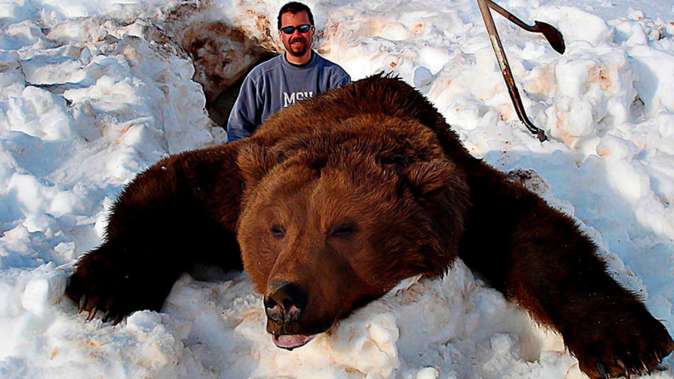 Brown bear hunting guides in Alaska